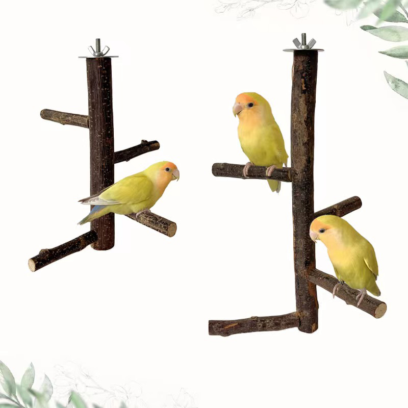 1Pcs Natural Apple Tree Wood B - Desk Setup Apple recension och pris
