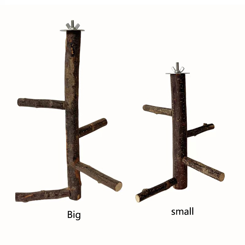 1Pcs Natural Apple Tree Wood B - Desk Setup Apple recension och pris