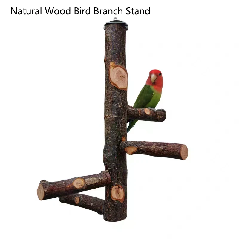 1Pcs Natural Apple Tree Wood B - Desk Setup Apple recension och pris