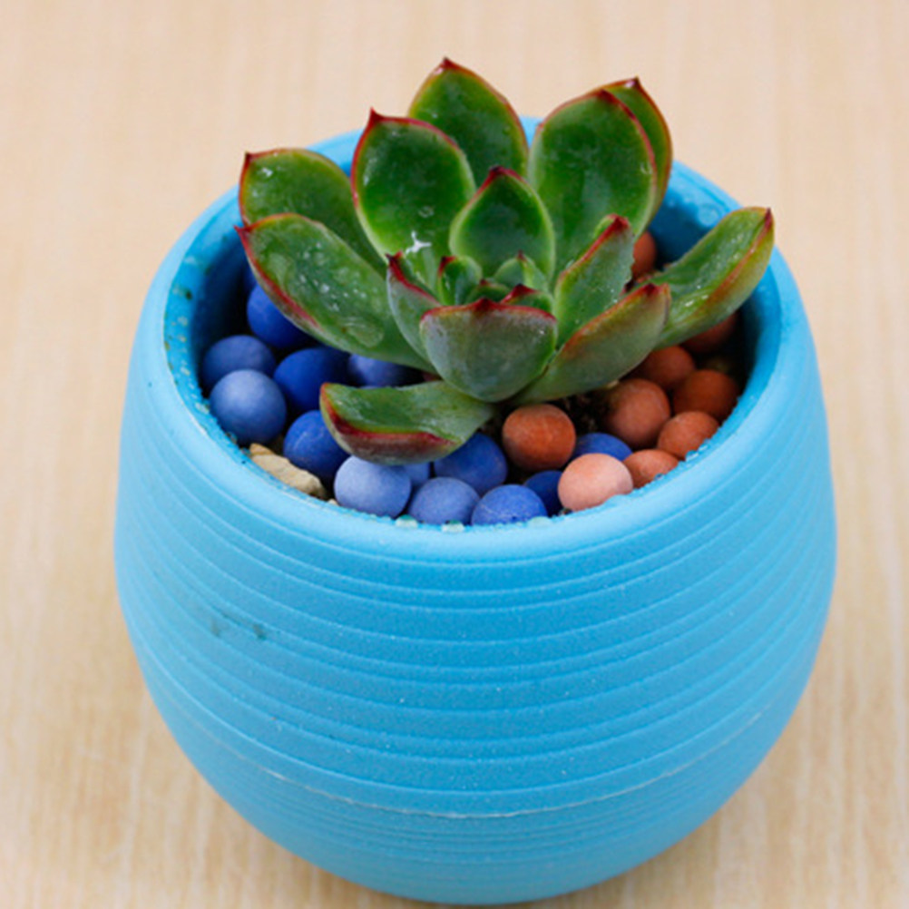 Mini Resin Succulent Pots Roun - Plant Pot Small Desk recension och pris